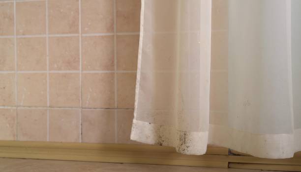 Best Environmental Consulting for Mold Prevention  in Turner, OR