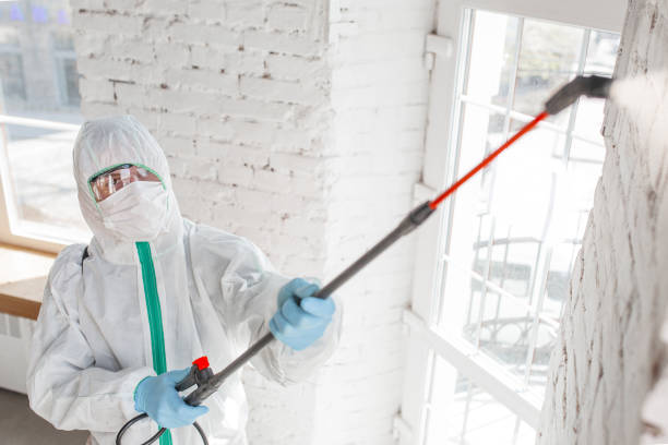 Best Mold Removal for HVAC Installations  in Turner, OR