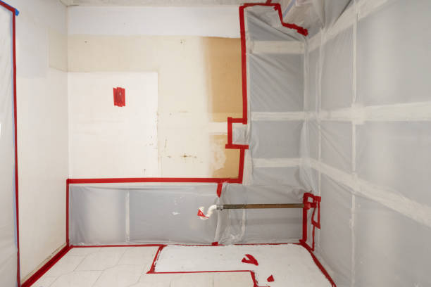 Best Post-Construction Mold Inspection  in Turner, OR