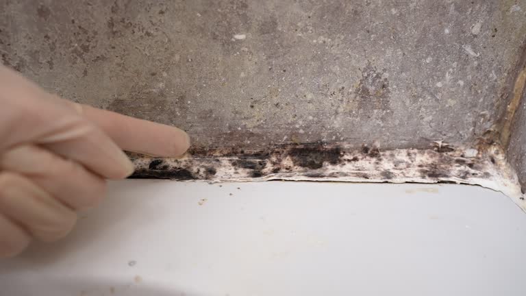 Best Air Quality Testing for Mold Spores  in Turner, OR